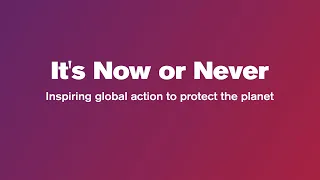 It's Now or Never: inspiring global action to protect the planet