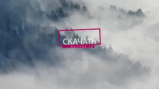 фон футаж лес в тумане дыму | background footage of the forest in the fogsmoke