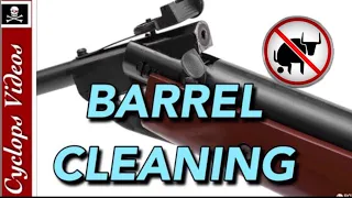 Airgun Barrel Cleaning