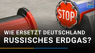 Woher bezieht Deutschland aktuell sein Gas? | LNG-Deal mit Katar