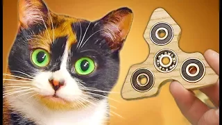 I made spinner for Cookie :)