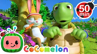 The Tortoise and the Hare | Cocomelon | Kids Cartoons & Nursery Rhymes | Moonbug Kids