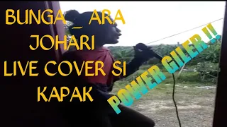 Bunga Ara Johari cover by si kapak