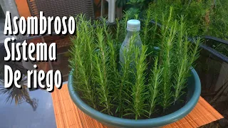 Este ASOMBROSO Sistema de RIEGO está cambiando la Jardinería