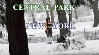 Snowfall in Central Park, New York City❄️ | Walking in Central Park in the Winter Snow⛄️