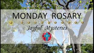 Monday Rosary • Joyful Mysteries of the Rosary 💙 June 3, 2024 VIRTUAL ROSARY - MEDITATION