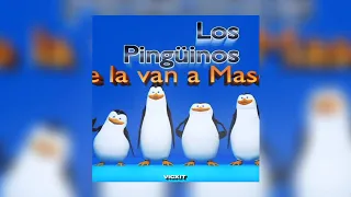 Anar Jpa - DIKA VIKA ( Los Pingüinos e La Van a Mascar )