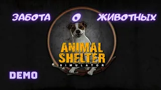 Забота о животных | Animal shelter simulator | Первый взгляд | Demo