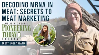 Decoding mRNA in Meat: Essential Insights and Unleashing the Secrets to Budget-Free Meat Marketing