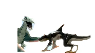 Pteracuda vs Whalewolf