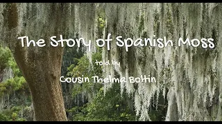 Story of Spanish Moss by Cousin Thelma Boltin