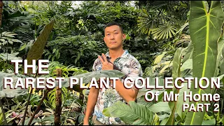 Huge And Diverse Rare Plant Collection of Home (Sappasiri) in Bangkok, Thailand - Part 2