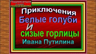 Белые голуби и сизые горлицы , Приключения сыщика Ивана Путилина , Роман Антропов