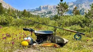 FLY FISHING Catch & Cook For WILD GOLDEN TROUT in a High Elevation Mountain Lake!