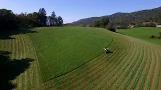 Relaxing Grass Cutting | Mowing 5th Cut Grass for Silage