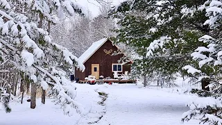 Coming Back To A Frozen Off Grid Cabin: First Snowfall, Wild Game Cooking