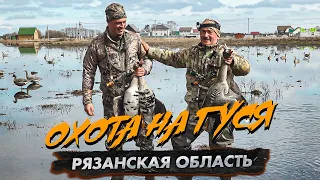 Охота на гуся. Рязанская область (открытие охоты)