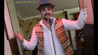 Vahe VAVAN Asmar axjik & Mush mushАсмар ахджик & Муш муш (г.Тольятти армянский певец)