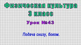 Физическая культура 3 класс (Урок№43 - Подача снизу, боком.)