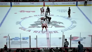 FULL OVERTIME EBTWEEN THE COYOTES AND REDWINGS [11/20/21]