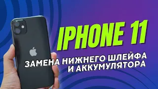 iPhone 11 - не работает микрофон, быстро разряжается (замена нижнего шлейфа и аккумулятора)