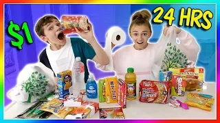 Living on ONLY Dollar Store Items for 24 Hours! | We Are The Davises