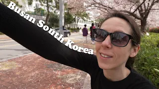 Our Anniversary in Busan, Korea! (plus Eric gets sick & Kyde explores solo) (in Korea!)