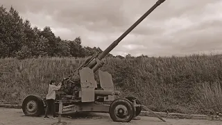 Кронштадт, боевые действия 1942 год