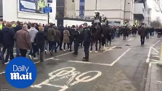 Rivals Millwall and Tottenham spurs hurl insults at each other - Daily Mail