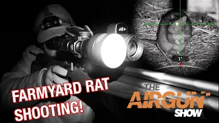 The Airgun Show | Farmyard Rat Shooting at Night| Crosman Trailhawk air rifle review