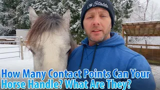 Understanding Why Horses Sometimes Can't Handle Being Touched Or Saddled