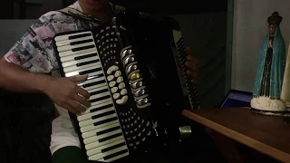 Bye Bye - Marília Mendonça - Acordeon