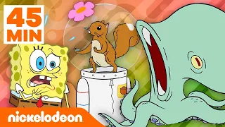 SpongeBob | Hewan-Hewan Terkeren di Bikini Bottom selama 45 menit! | Nickelodeon Bahasa