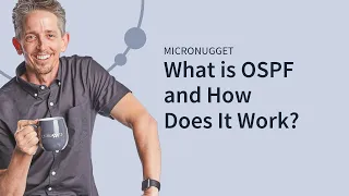 What is OSPF and How Does It Work?