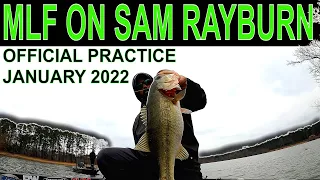 Sam Rayburn MLF Official Practice - January 24-25, 2022