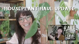 HUGE Rare Plant Haul Update 3 Years Later!