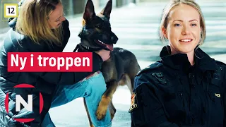 Hils på den nye politihunden, Arrax | Politihundene | TVNorge