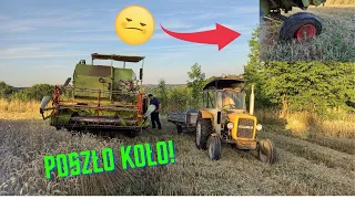 Jak zwykle coś poszło nie tak!| Pękło koło w compakcie!?| Żniwa 2022| Ursus c-330 & Claas Compact