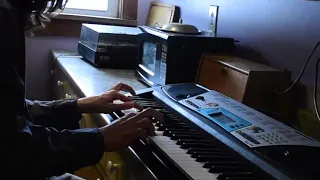 Happy Birthday Ray Manzarek-  Riders On The Storm Keyboard Cover