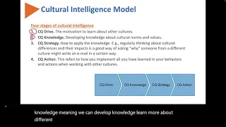 Human Relations: Cultural Intelligence (CQ)