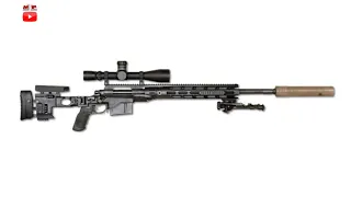 Remington M2010 ESR Rifle