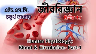 Blood & Circulation (Part-1) | Human Physiology | Chapter 4 | Biology 2nd Paper | HSC