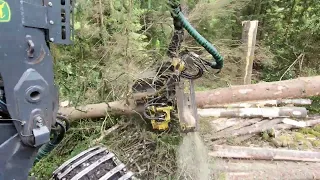 Effortless Spruce Harvesting with the John Deere 1270G part 1