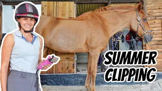 SPRITEY SPRUCE UP | Summer Clip Including Legs | EMD Eventing Vlog