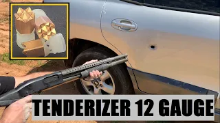 Tenderizer 12 Gauge Vs Car 🚗