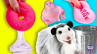 What's Inside SQUISHY Toys? Apollo The Positive Possum Brings Me Squishies to Open