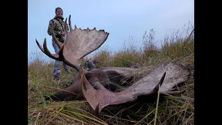 Hunting for Huge Alaskan Moose