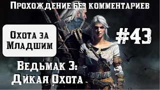 Ведьмак 3: Дикая Охота #43 ► Охота за Младшим ► [#witcher3]