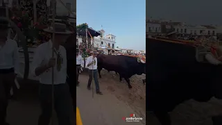 Presentación Hermandad del Rocío Priego de Córdoba - 2023