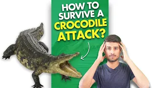 What if a Crocodile Bites You?